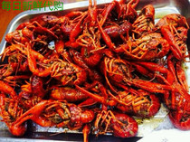 Shanghai fire explosion net red night night Shanghai small fat sign small lobster Pippa shrimp fresh vacuum packaging can be sent out