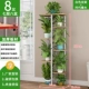 Белый кронштейн+дуб эпохи [7 -слоя 8 горшок] [высокий 120 см] корпус сгущается