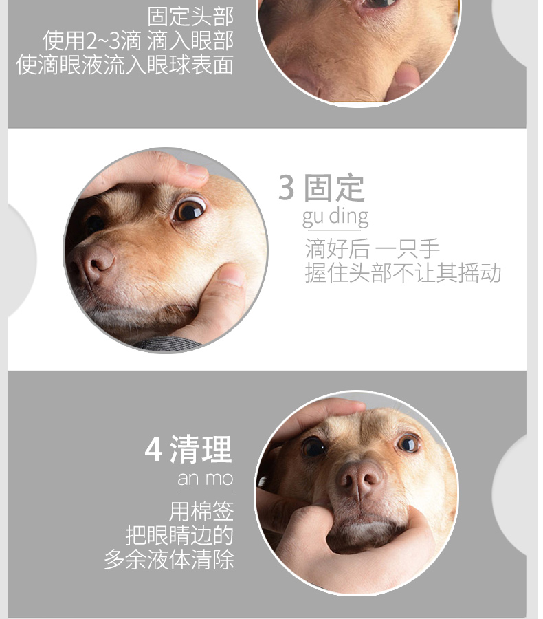 Mắt chó nhỏ mắt mèo với nước mắt thú cưng loại bỏ nước mắt viêm mắt mèo và chó với gấu Teddy - Thuốc nhỏ mắt thuốc nhỏ mắt cho chó pug