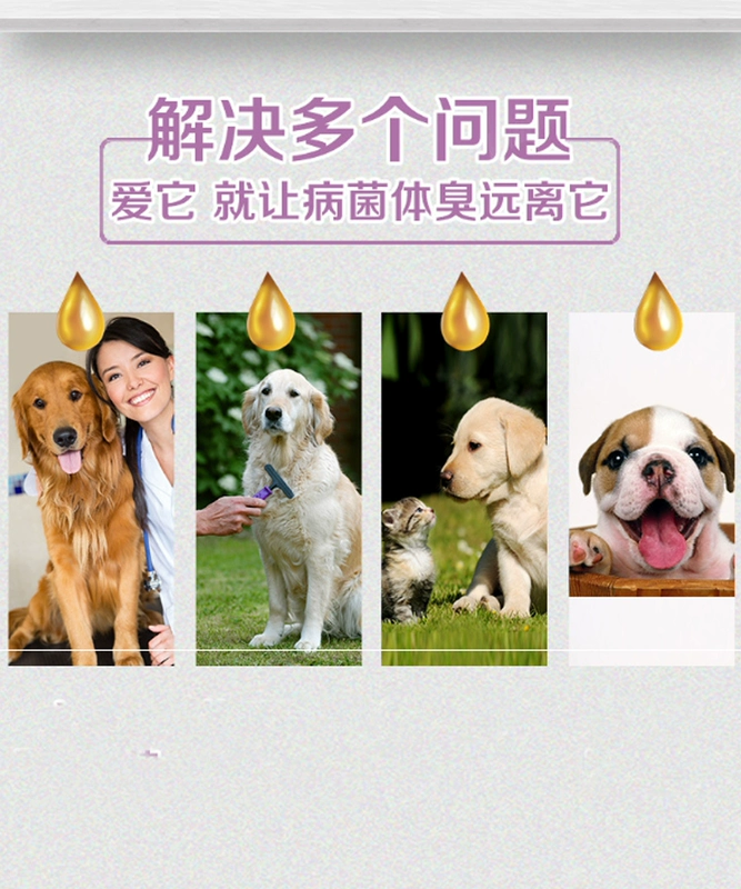 Pet khử trùng chó khử trùng khử trùng khử trùng trong nhà nước hoa khử mùi chó mèo nước tiểu để cung cấp nước tiểu chó - Cat / Dog Beauty & Cleaning Supplies lược furminator