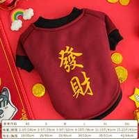 (Новогодний свитер) Празднование Дахонгфу