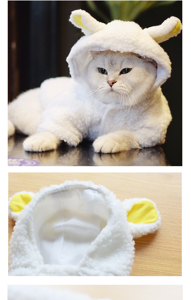 Quần áo chó Teddy Bomei quần áo mùa thu và mùa đông hơn gấu bốn chân chó con mùa đông quần áo chó con mèo cưng chó nhỏ - Quần áo & phụ kiện thú cưng áo dành cho chó con	