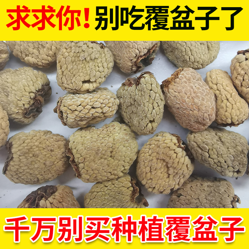 Raspberry Fresh grade medicinal herbs 500g grams of bubblewater Men can be matched with sealwort Medlar Soak-Taobao