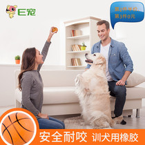 E Spot-dog Toy Ball Resistant Bite Training Gold Gross Dog Dog Dog Training Dog Kokie Elastic Rubber Ball Pet Supplies