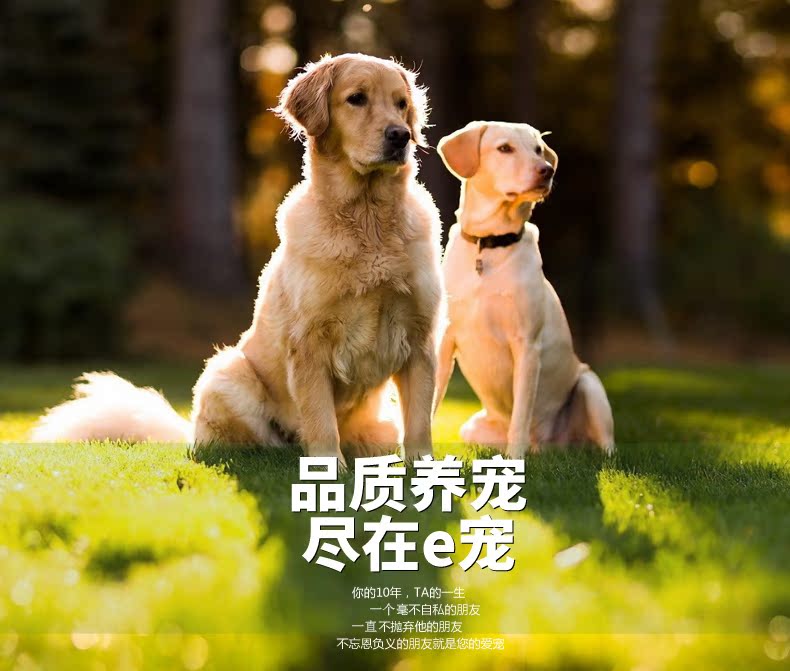 E pet mall đồ ăn nhẹ vật nuôi rau dinh dưỡng bar dog mol thanh con chó ngoài hơi thở hôi răng sạch xương 50 giá thức ăn cho chó