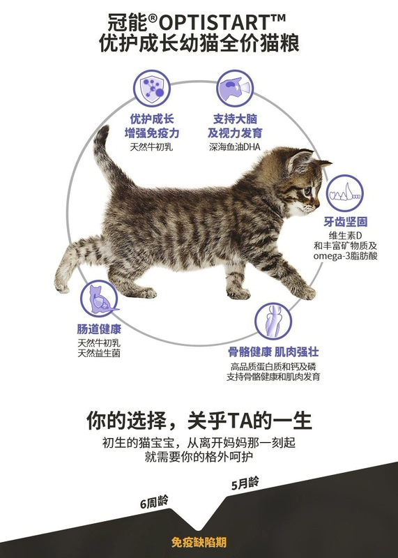 e vương miện có thể cho mèo ăn thức ăn cho mèo 5 kg sữa vắt sữa 1-4 tháng mèo xanh mèo tự nhiên hạt chính 2,5kg