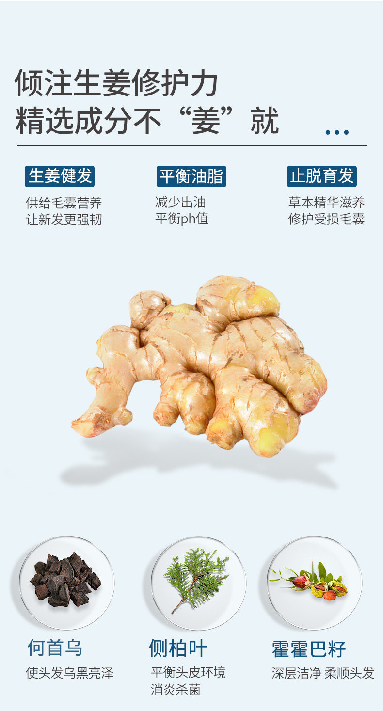 卓蓝雅 防脱育发 生姜洗发水 400ml 图7