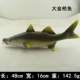 Mô phỏng cá mô hình động vật biển giả mực đỏ cá ngừ cá nhiệt đới đồ chơi khách sạn trang trí đạo cụ đồ trang trí - Đồ chơi gia đình