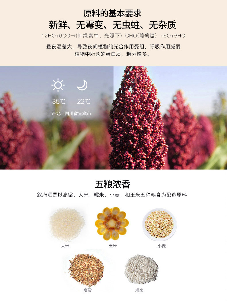 1984国银奖纪念款 叙府 金典 52度 浓香型纯粮食白酒 500ml*6瓶 图7