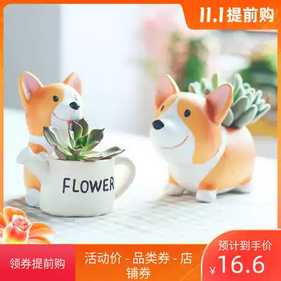 Pastoral cute Koji succulent flower pot decoration living room entrance garden home furnishings original resin decoration