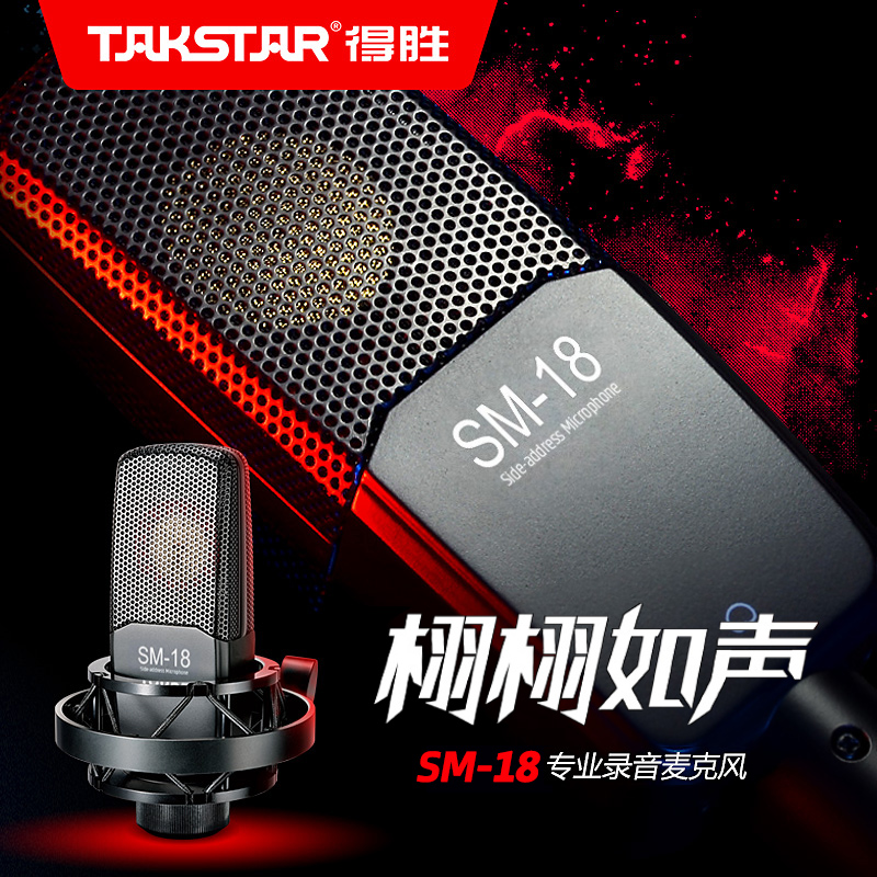 Takstar SM-18 condenser microphone Karaoke live professional large diaphragm recording microphone equipment full set