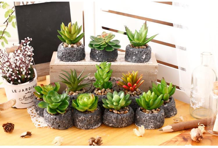 Mục vụ hoa nhân tạo đặt mọng nước mini hoa giả nhỏ chậu trang trí trong nhà phòng khách để bàn mềm trang trí vật dụng dcor phòng ngủ