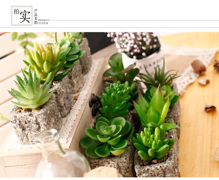 Mục vụ hoa nhân tạo đặt mọng nước mini hoa giả nhỏ chậu trang trí trong nhà phòng khách để bàn mềm trang trí vật dụng dcor phòng ngủ