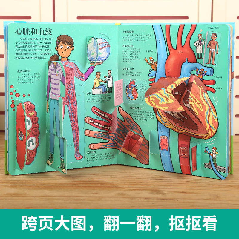 揭秘人体3d立体翻翻书 乐乐趣童书儿童揭秘系列3-6-12岁科学认识人体的奥秘结构图书幼儿园小学生看绘本1-2科普类百科大全里面书籍
