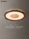 Song style aesthetic ceiling lamp bedroom lamp black walnut new Chinese style Chinese style restaurant study lamp