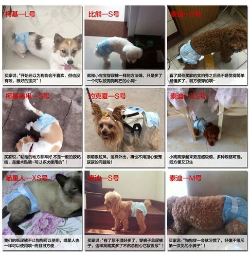 Физиологические штаны для домашних животных Тедди моча, мочегонные штаны, мужская сука сука специальные менструальные брюки.