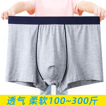 Mens flat corner Underpants big fat Sub-high waist Young Modale cotton loose bamboo fiber 300 catty short pants breathable