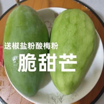 Fresh crispy sweet mango eaten raw big green mango sweet heart mango sour wild mango sour and sweet delicious raw and cooked mango eaten raw