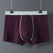 (Shangxiu Large Size) Four Seasons Mens Underwear High Waist High Elasticity Modal Extra Large Size Boxer Pants