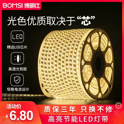 LED light strip 220V three-color color changing soft long light bar home bright living room double row super bright outdoor waterproof decoration