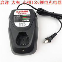  Qiyang Dayou Xiaoqiang 12v universal lithium battery charger Seat charge Smart charger