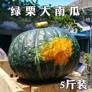 [板栗南瓜新西兰绿栗大南瓜宝栗铁球老南瓜东北面窝瓜非贝贝小南瓜]
