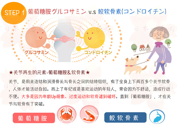 Nhật Bản mua thư trực tiếp Dược sĩ Hall Jianbuli Health Food Bone Gum Ngày đóng gói ban đầu - Thức ăn bổ sung dinh dưỡng tảo nhật