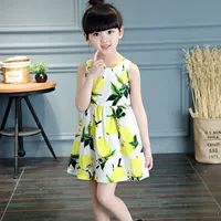 Хлопко-белый лимонный цветок лимона