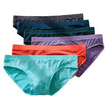 Summer new ice silk underwear mens briefs youth adult low-waist ice silk underwear comfortable and breathable pants