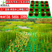 Luyuan Canna Water Ecological Floating Island Aquatic Vegetable Planting Floating Board River Landscape Greening Water Purification