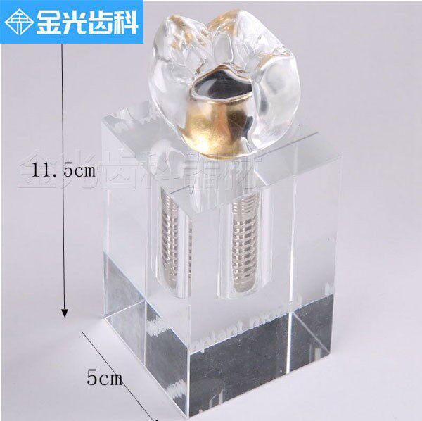 牙科口腔材料3*1种植体模型可拆卸教学水晶模型沟通牙齿模型