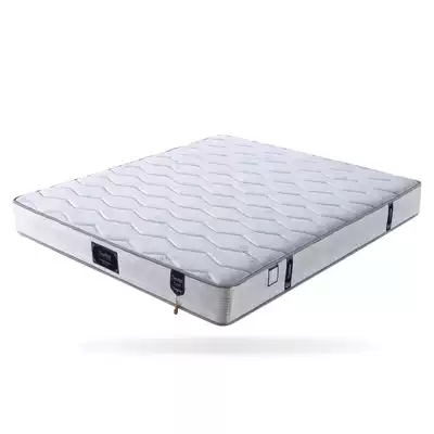 Xiaobai Bei natural 3E brown mat bed mat Tencel fabric environmental protection brown spring bed mat children's ridge protection vertebrae