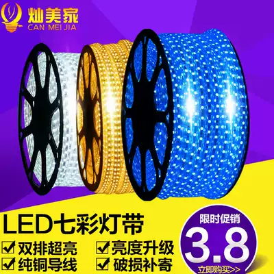 LED light strip 5050 patch living room ceiling outdoor lighting colorful color change 220V waterproof horse race neon light strip