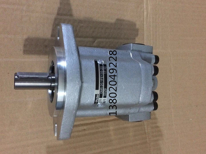 Hydraulic gear motor GM5161FE13S20 High speed gear hydraulic motor