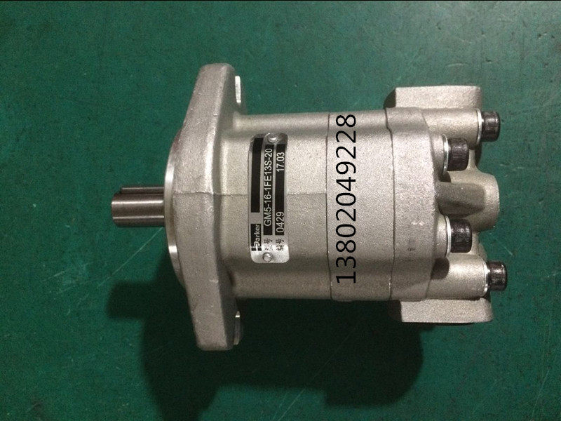 Hydraulic gear motor GM5-20-1FE13S-20 Gear hydraulic high speed motor GM5-25-1FE13S-20