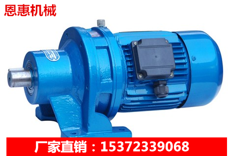 Vertical horizontal cycloid pin wheel reducer BWD1-11 17 23 29 35 43 59-1 1 1 5KW