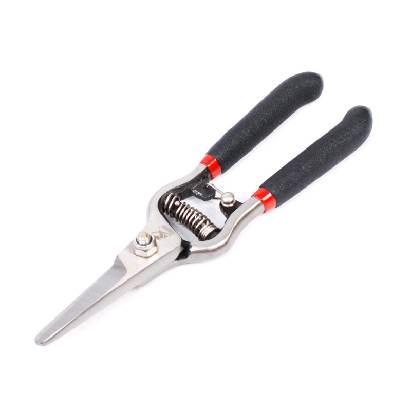 Kavwell 8-inch forged grape cut landscaped scissors pruner pruner pruner pruning tool SN4007 -Taobao