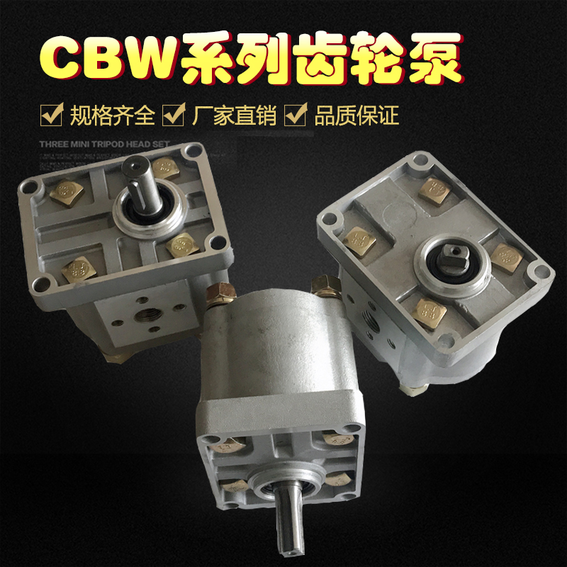 Gear pump hydraulic oil pump CBW-E310 E314 E308 E312 E325 E316 E320 E306