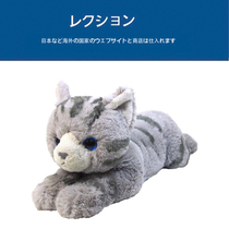 Japanese sun lemon genuine super cute big gray cat Doll Doll pillow plush toy