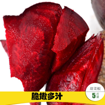 Visan beetroot Fresh net weight 5 kg Red cabbage root sugar radish Red beet beet head vegetables