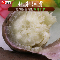 Chestnut sweet potato White heart net weight 5 kg Burst skin king sweet potato flour Sweet potato sweet potato Sweet potato Sweet potato