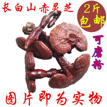 Red Ganoderma lucidum 500 grams Chinese herbal medicine Changbai Mountain deep Mountain wild non-purple ganoderma lucidum whole ganoderma lucidum brewing wine