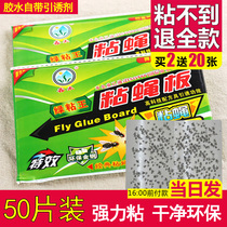 Sticky fly paper fly sticker strong sticky fly board artifact killer flies mosquito nemesis catcher household swept away