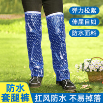 一次性雨衣男款女式防暴雨便携透明单人大人长款全身加厚搭配雨裤