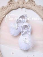 Сиреневый лебедь