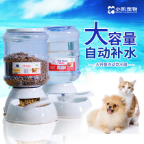 Medium Constant Cat Pooch Automatic Feeder Feeder 3 5L Dog Basin Pet Automatic Drinking Basin Feeding Basin