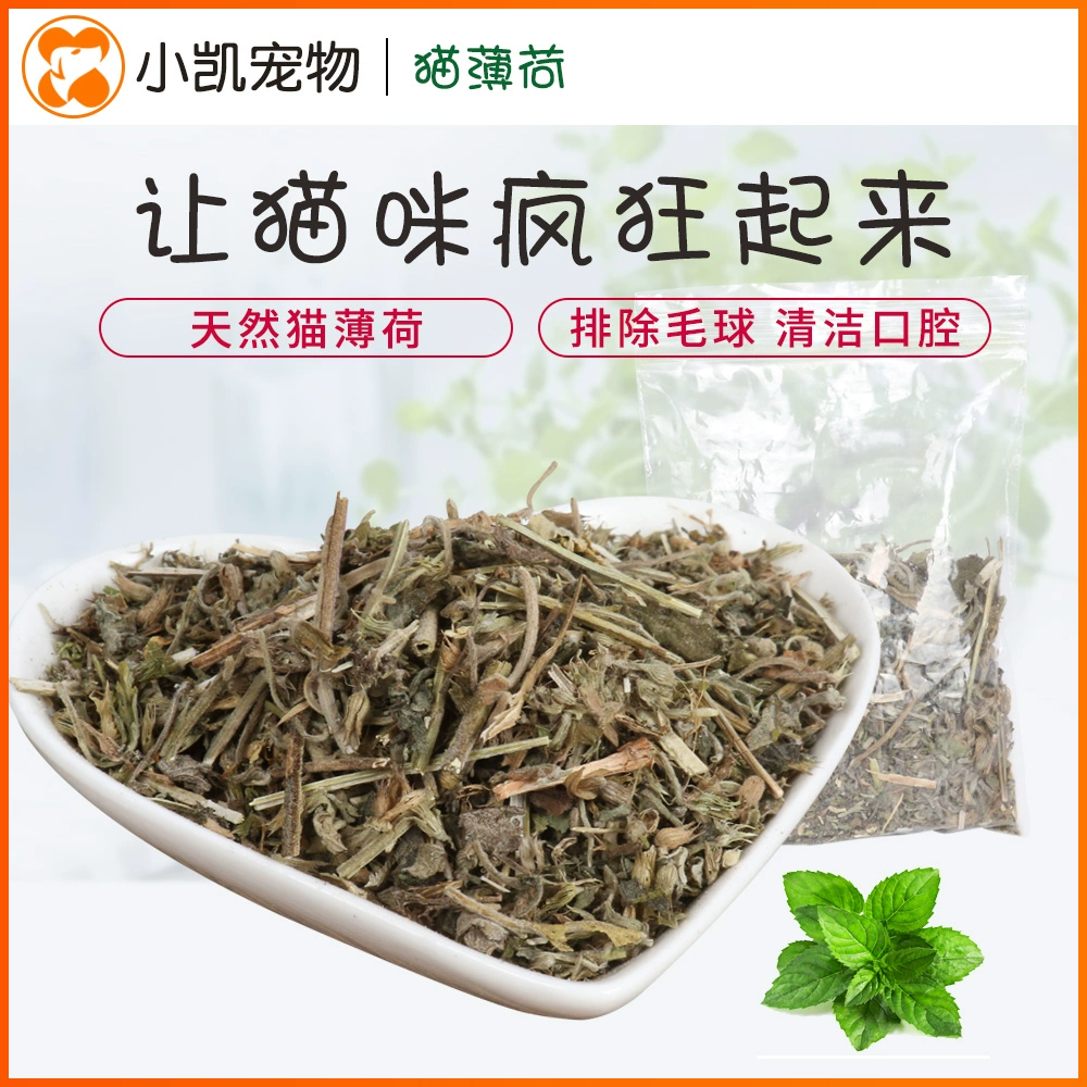 Cat Cat Cat Cỏ tự nhiên 10g Pet Snacks Cat Snacks nhổ lông bóng để giúp tiêu hóa - Đồ ăn nhẹ cho mèo