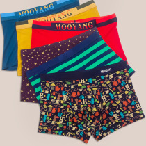  Gift boxed mens underwear mens boxer shorts pure cotton Modal breathable sexy youth boxer briefs for the year of life