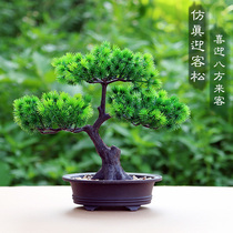 Simulated plant pot interior decoration fake pine tree home living room green plastic small fixture welcome pine pot view