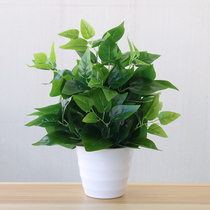 Simulation of green plant indoor and outdoor wall decoration plastic small pot green leaf fake flower fixture